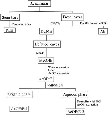 Inhibition of Soybean 15-Lipoxygenase and Human 5-Lipoxygenase by Extracts of Leaves, Stem Bark, Phenols and Catechols Isolated From Lithraea caustica (Anacardiaceae)